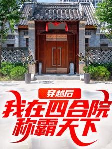 《穿越后,我在四合院称霸天下》 第6章全文免费章节在线试读 何雨柱许大茂小说
