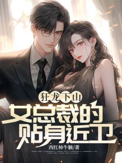 狂龙下山,女总裁的贴身近卫免费阅读(韩枫秦雪全本资源) 无广告
