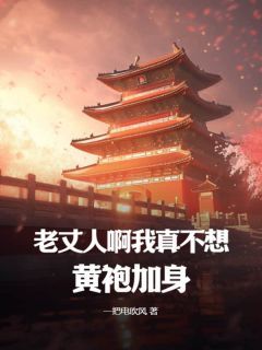 《苏湛宋北凝》小说全文免费阅读 老丈人啊,我真不想黄袍加身!小说阅读