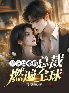 协议离婚后,总裁燃遍全球