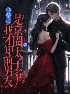 裴景铄叶琳琳顾雪晴怀孕后,我才知前男友是京圈太子爷小说全文章节阅读 裴景铄叶琳琳顾雪晴免费完整版