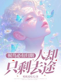《候鸟必有归期,人却只剩去途》小说章节列表免费阅读 柳如烟柳傲天沈幼楚小说阅读