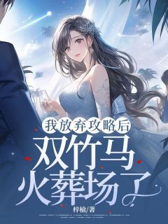 我放弃攻略后,双竹马火葬场了