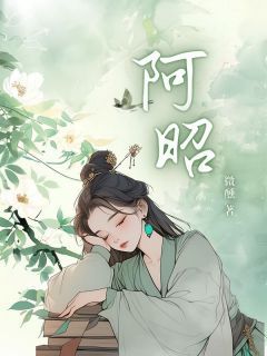 《阿昭》阿昭李肃赵心涵章节免费试读