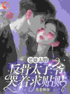 老婆太野,反骨太子爷哭着求贴贴全文免费阅读 沈青瓷席星野大结局无弹窗