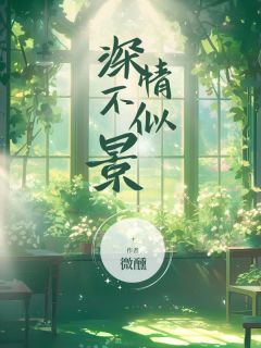 《舒涵司景林翩然》免费试读 深情不似景小说章节目录