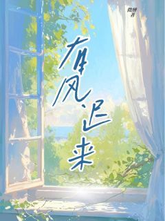 有风迟来徐珊苏恒小说完整篇在线阅读
