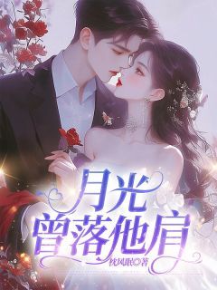 《月光曾落他肩》大结局免费阅读 第四章