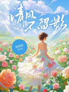 《清风不留影》大结局在线阅读 《清风不留影》最新章节列表