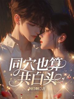 《沈晚宁季则深》小说大结局在线阅读 同穴也算共白头小说全文