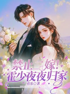 精品小说《禁止二嫁!霍少夜夜归家》秦晚霍则奕已完结版全文章节阅读