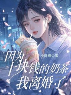 《因为十块的奶茶,我离婚了》小说全文免费试读 季长民杨婉珊小说全文