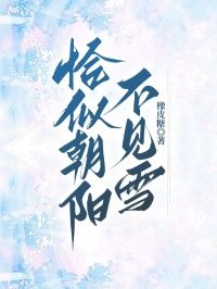 陆叮当顾晨免费阅读 恰似朝阳不见雪在线阅读