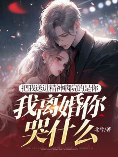 裴书礼顾安安小说阅读 裴书礼顾安安小说把我送进精神病院的是你,我离婚你哭什么