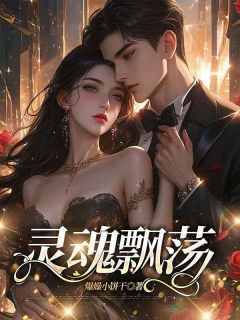 《灵魂飘荡》小说章节在线试读 宋清然陈俊生小说阅读