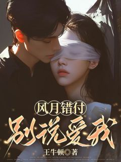 《秦洛川白芷曦》风月错付,别说爱我章节精彩试读