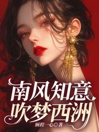 南风知意,吹梦西洲全文在线阅读 宁知意沈辞南全本无弹窗