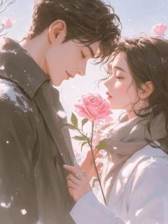 《林承安周琦》老婆为将学区房的钱借给学弟,竟拿掉孩子章节列表精彩阅读