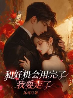和好机会用完了,我要走了