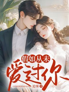 南清圆谢子慕小说全文在线阅读 爱入围城此情怅全文完整版章节