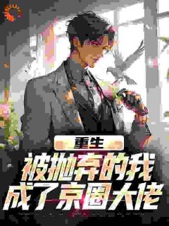 重生:被抛弃的我成了京圈大佬