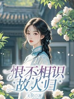 陆晚吟贺云钦大结局在线阅读 《恨不相识故人归》免费阅读