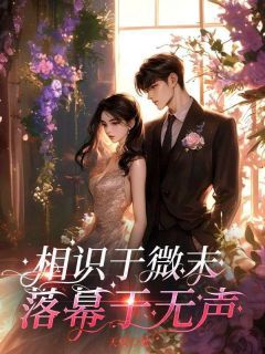 相识于微末,落幕于无声