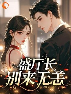 《盛厅长别来无恙》小说在线阅读 《盛厅长别来无恙》最新章节目录