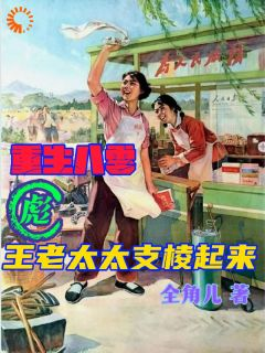 《重生八零:彪王老太太支棱起来》小说主角王淑琴赵有才全文章节免费在线阅读