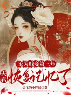 沦为贱妾第三年,夫君恢复记忆了余启慎如小说精彩内容在线阅读