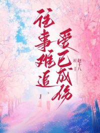 往事难追,爱已成伤免费阅读(裴言澈江揽月小说全本资源) 无广告