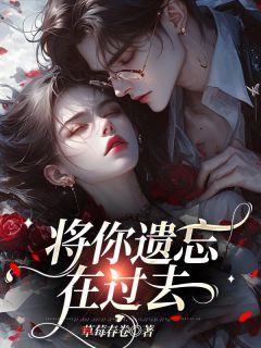 《陆迟孟听岚》小说章节列表在线试读 将你遗忘在过去小说阅读