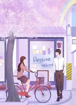《资本家小姐掏空宝藏,带俩娃随军》小说章节目录在线阅读 舒楹谢执砚小说全文