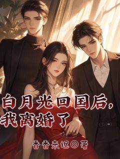 乔沐安赵思衡白月光回国后,我离婚了小说全部章节目录