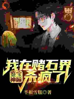 鉴宝神瞳：我在赌石界杀疯了