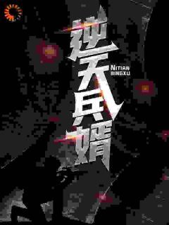 逆天兵婿