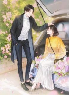 积烬燃光