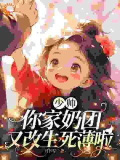少帅,你家奶团又改生死薄啦