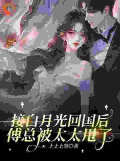接白月光回国后,傅总被太太甩了