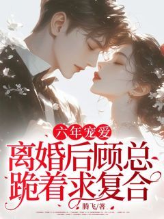 六年宠爱,离婚后顾总跪着求复合