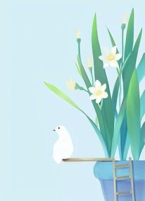 和闺蜜同嫁后,我和小叔子入了洞房