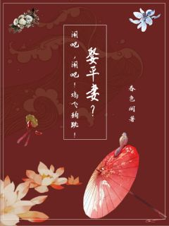 娶平妻?闹吧,闹吧!鸡飞狗跳!