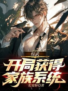 综武:开局获得家族系统
