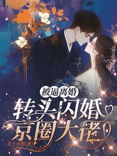 被逼离婚,转头闪婚京圈大佬
