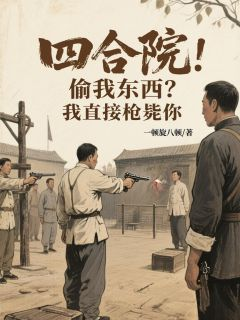 四合院:偷我东西?我直接枪毙你