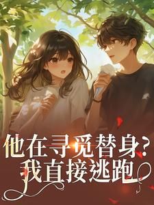 《离婚吧叶先生，我怀了别人的孩子》小说全集免费在线阅读（林黎笙叶砺琰沐柒迟）