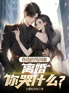 《王昆林若彤》你选的男闺蜜，离婚你哭什么？小说全文免费阅读