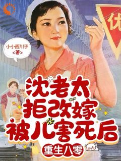 沈老太拒改嫁被儿害死后重生八零小说 第9章全文精彩试读