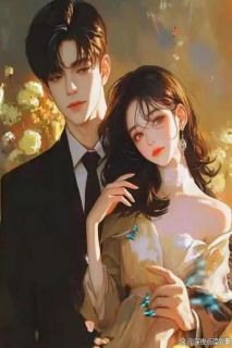 《苏婉宁谢临渊沈浩泽》小说全文免费试读 十年一朝与君辞小说全文