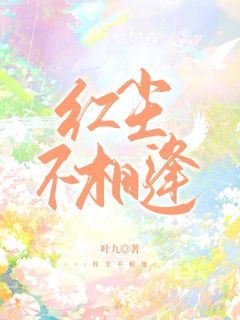 红尘不相逢精彩章节全文全集精彩试读 红尘不相逢小说免费阅读